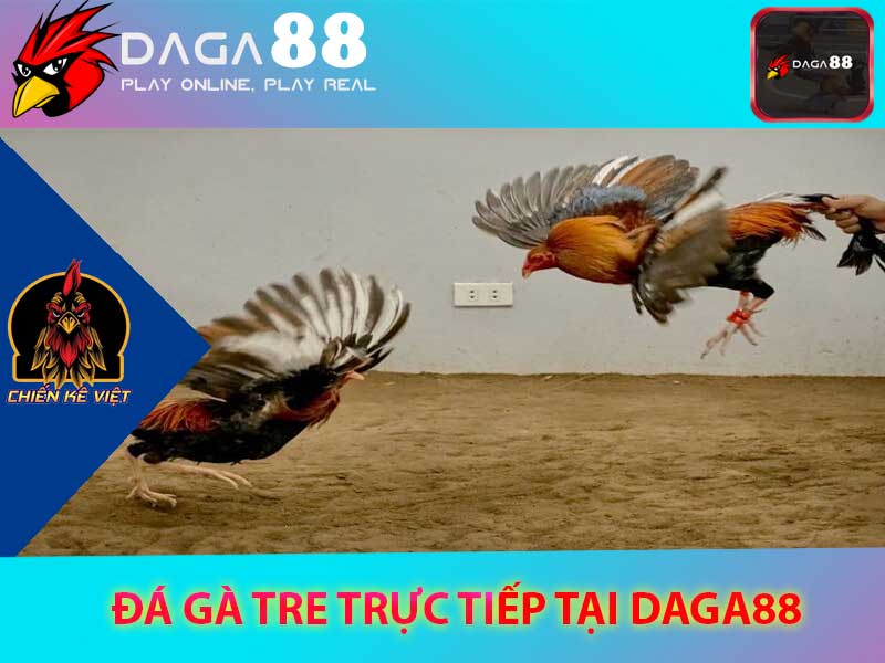 daga88 - daga88. com