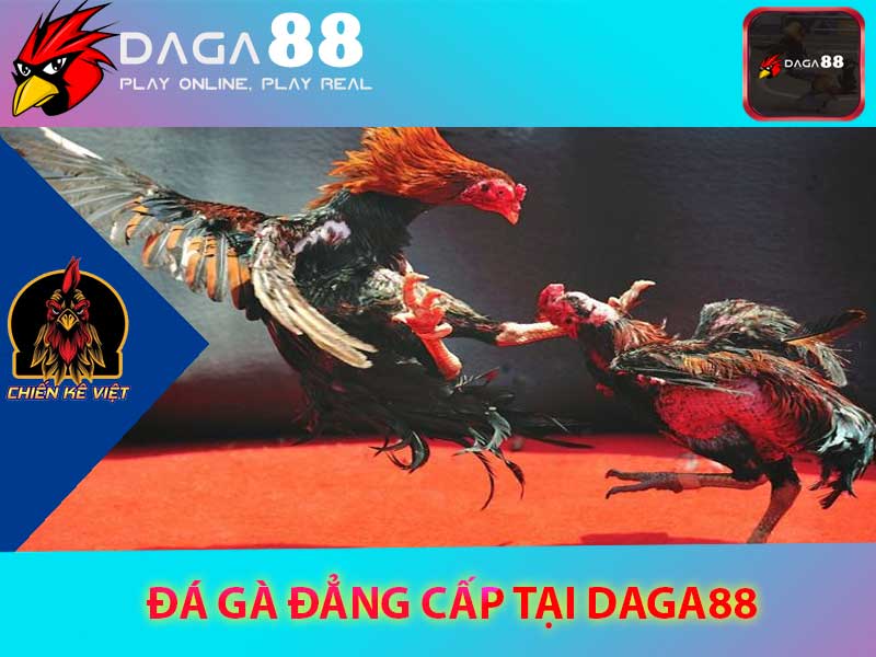 daga88 -daga88. com