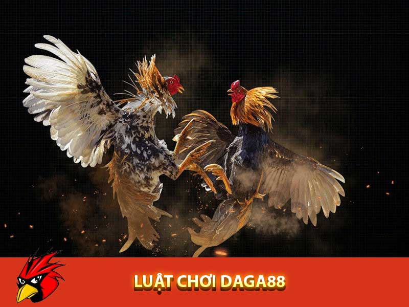 daga88 - Luật chơi