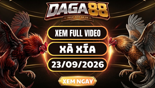 Xem Full Video Đá Gà Xà Xía Ngày 23/09/2026 Trên DAGA88